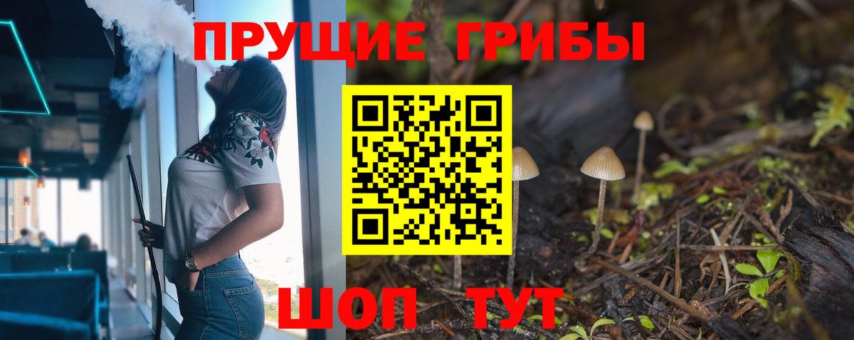 Галлюциногенные грибы Psilocybine cubensis  Вход с VPN  Кашира 